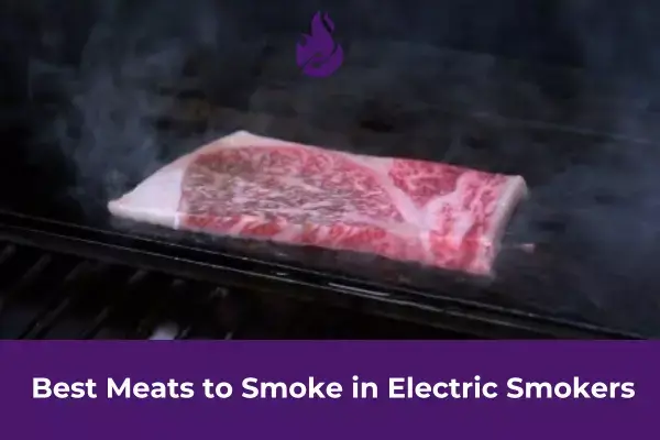 Best Meats to Smoke in Electric Smokers