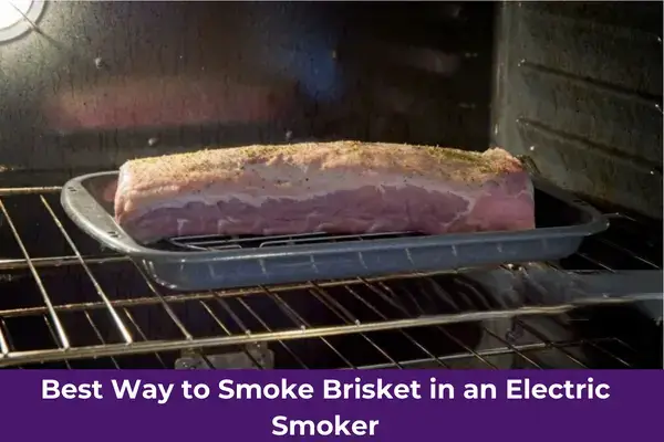 Best Way to Smoke Brisket in an Electric Smoker