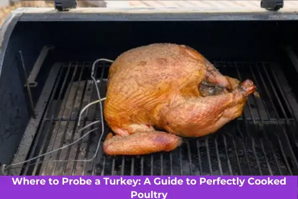 Where to probe a turkey